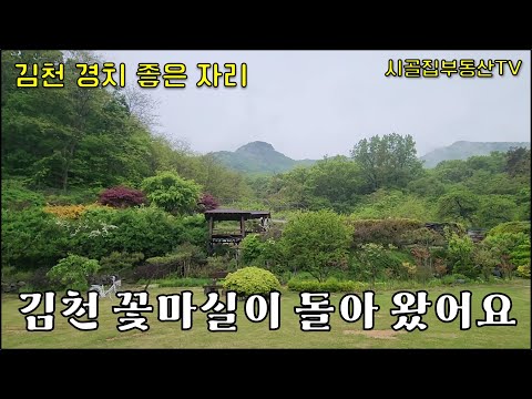 천평이 넘은 아주 넓은 경치 좋은 명당자리! 네이버에서 김천 꽃마실을 처보세요~ _시골집부동산TV