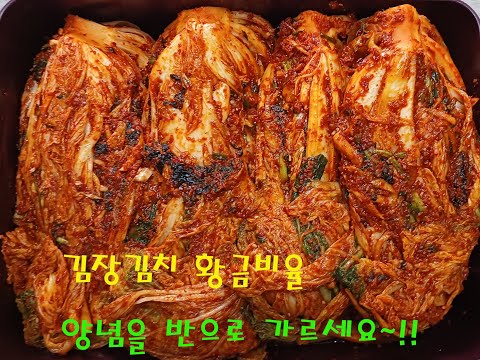 김장김치[실패없는김치양념 황금비율] 양념을 반으로 가르세요~!!