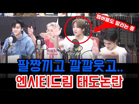 네티즌들에게 말나오고 있는 엔시티드림 라디오 태도 NCT Dream