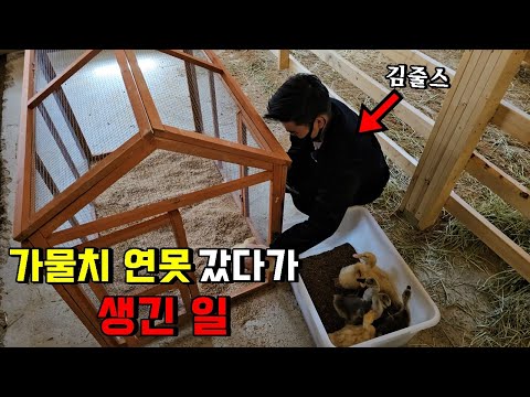 가물치연못에서 폭력 당했습니다...feat줄스님 실물공개