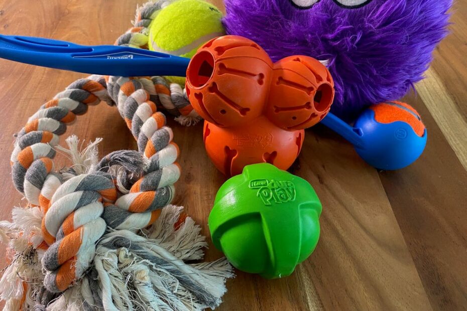 The 19 Best Dog Toys Of 2023