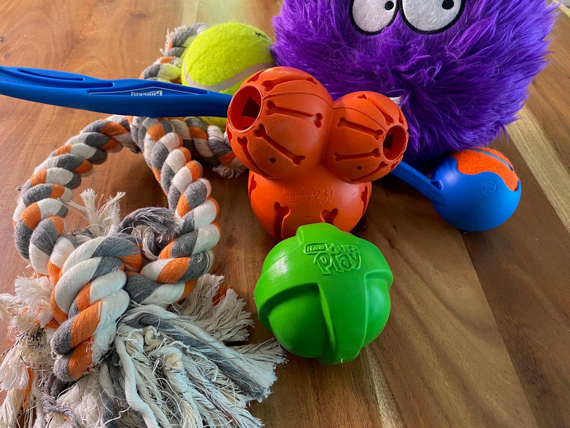 The 19 Best Dog Toys Of 2023