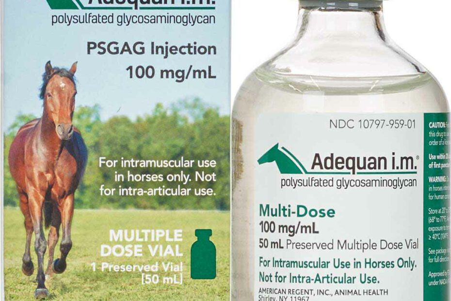 Adequan I.M. Equine American Regent - Safe.Pharmacy|Joint Dysfunction |  Horse Rx | Equine