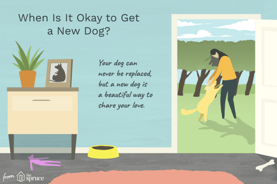 When To Get Another Dog After Your Dog Dies