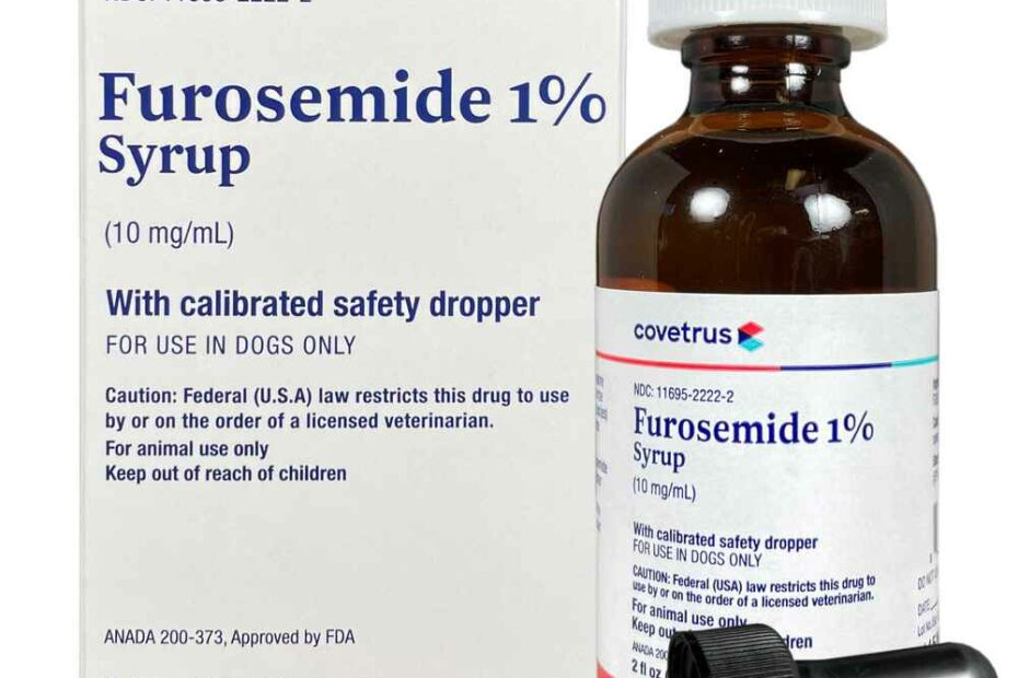 Furosemide (Salix) Syrup 10 Mg/Ml 60 Ml | 1800Petmeds