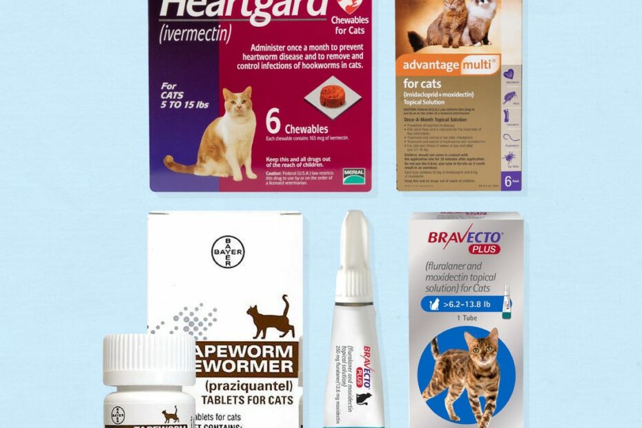 The 6 Best Cat Dewormers