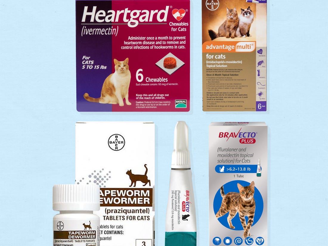 The 6 Best Cat Dewormers