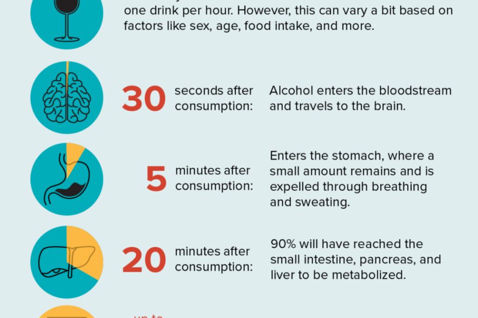 How Long Does Alcohol Stay In Your System?