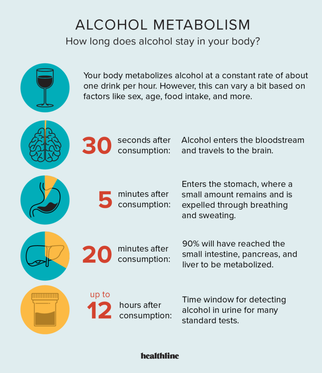 How Long Does Alcohol Stay In Your System?