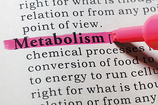 The Truth About Metabolism - Harvard Health