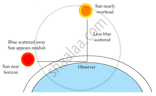 Draw A Labeled Diagram To Show (I) The Reddish Appearance Of The Sun At The  Sunrise Or The Sunset And (Ii) White Appearance Of The Sun At Noon When It  Is Overhead. -