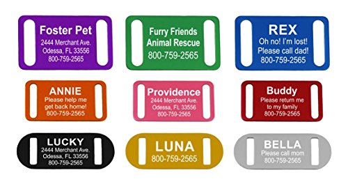 Amazon.Com : Slide-On Pet Id Tag | Collar Tag | 3 Sizes & 9 Colors To  Choose From (Gold, Large) : Pet Supplies