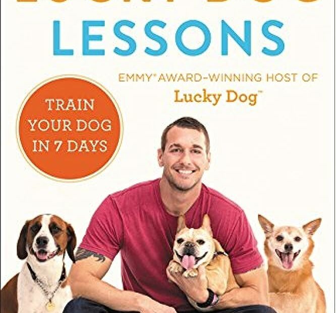 Lucky Dog Lessons: Train Your Dog In 7 Days: Mcmillan, Brandon:  9780062478955: Amazon.Com: Books