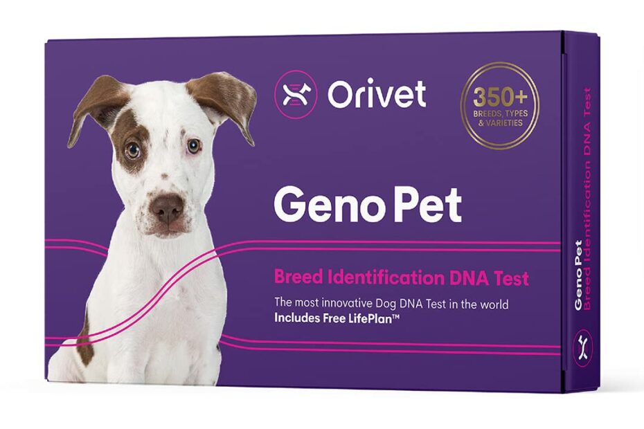 Orivet Genopet Dog Dna Test | Dog Breed Test Kit, Genetic Testing,  Heritable Health Risks And Life Plan : Amazon.Com.Au: Pet Supplies