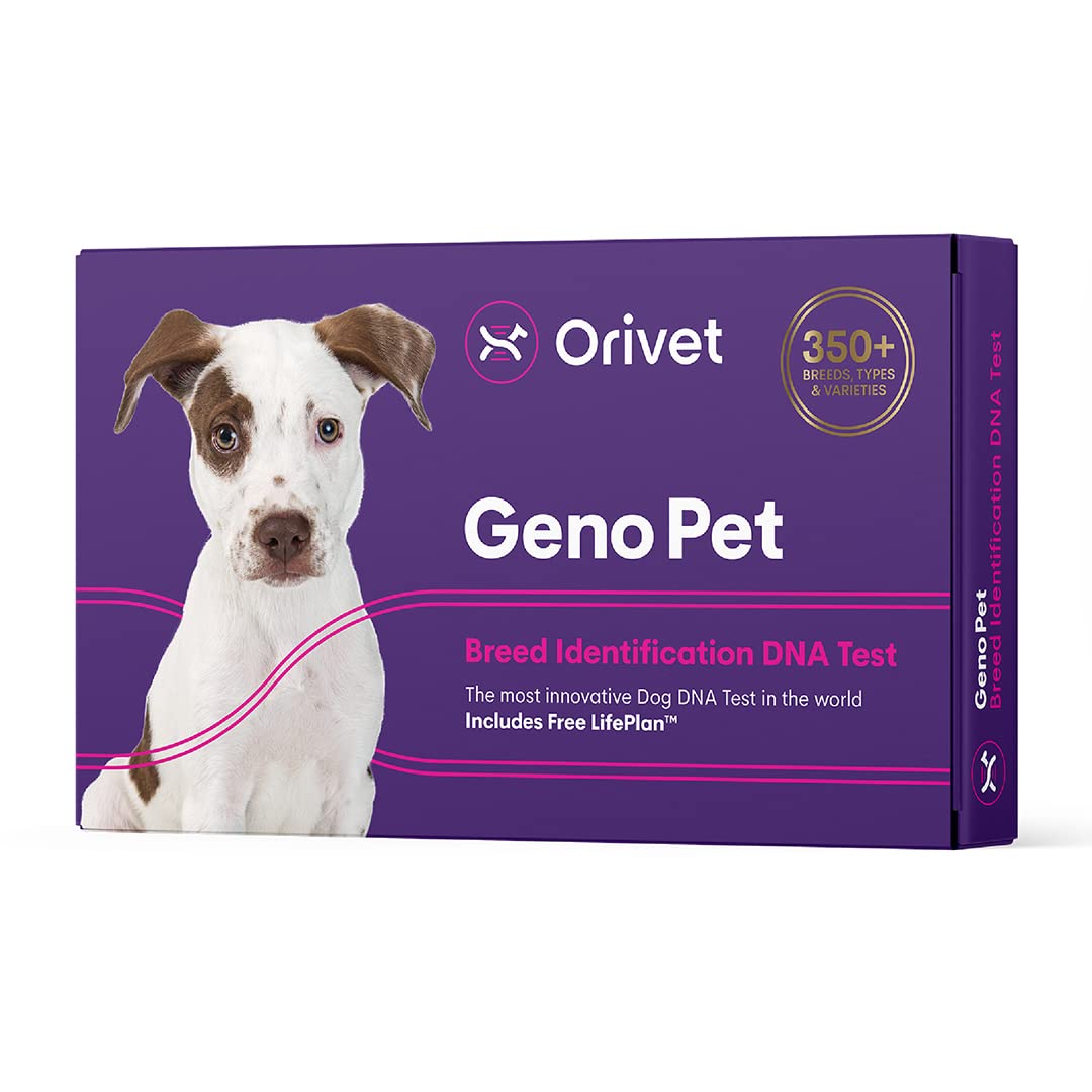 Orivet Genopet Dog Dna Test | Dog Breed Test Kit, Genetic Testing,  Heritable Health Risks And Life Plan : Amazon.Com.Au: Pet Supplies