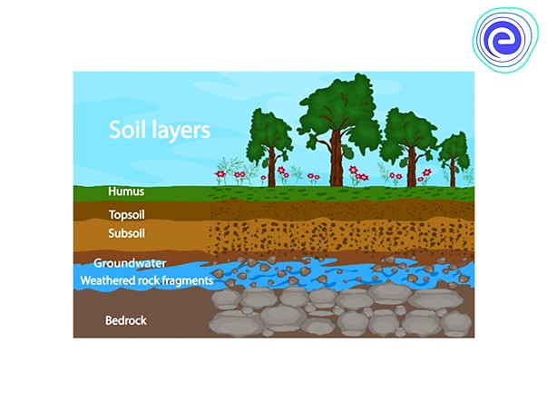 Soil Profile: Layer Of Soil, Type, Composition, Importance - Embibe