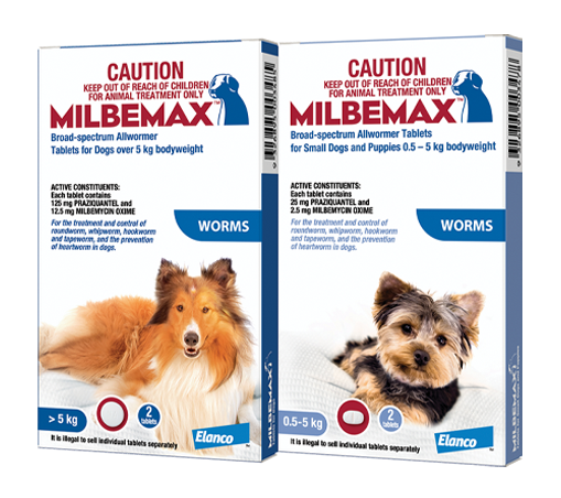 Milbemax™ Worming Tablets For Dogs | Elanco