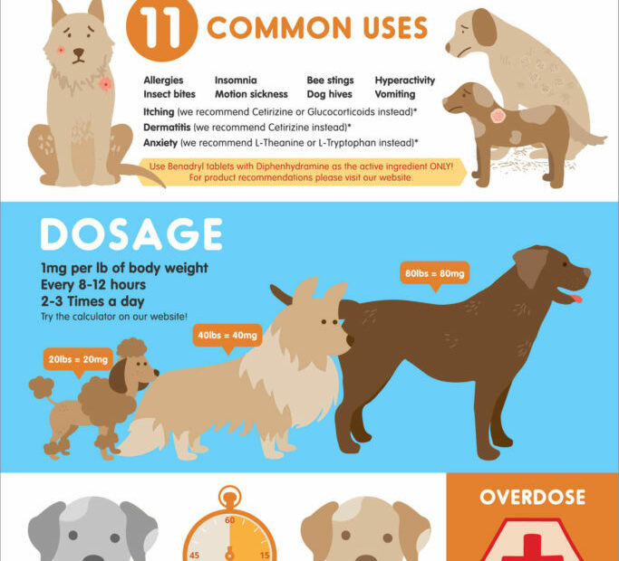 Benadryl Dosage For Dogs: Does Benadryl Make Dogs Sleepy?