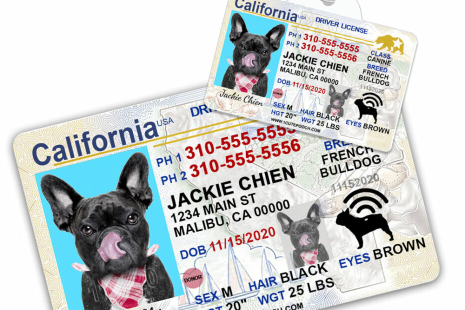 California Driver License Custom Pet Id Tag And Wallet Card - 1 Cute Pooch