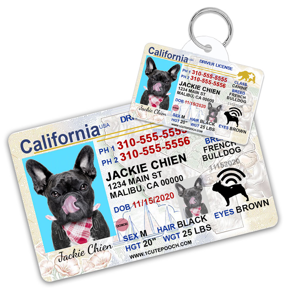 California Driver License Custom Pet Id Tag And Wallet Card - 1 Cute Pooch