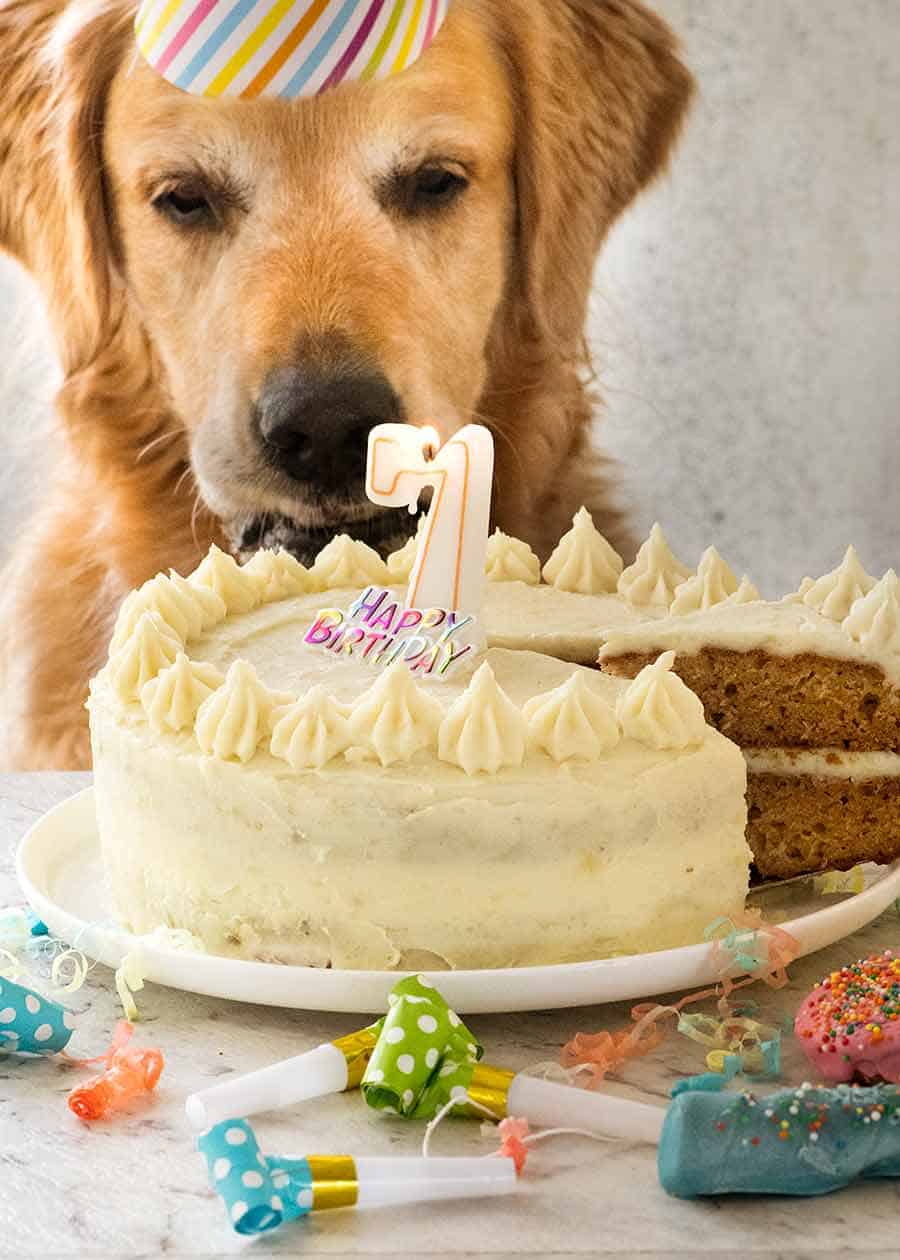 Dog Cake Recipe For Dozer'S Birthday! | Recipetin Eats