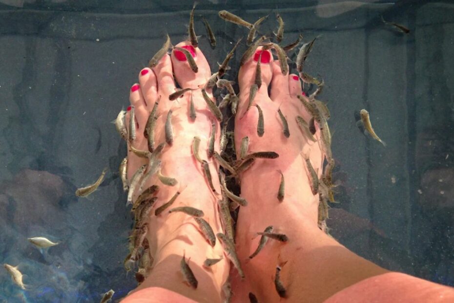 Fish Pedicure: Risks, Benefits, Safety, And Ethical Concerns