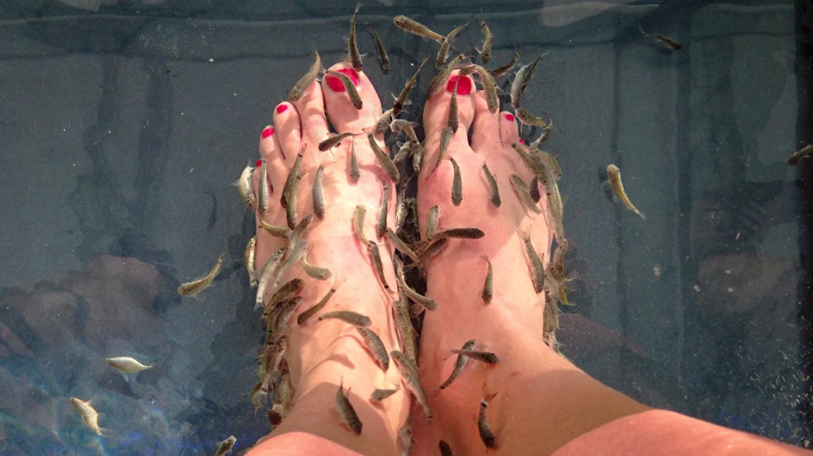 Fish Pedicure: Risks, Benefits, Safety, And Ethical Concerns