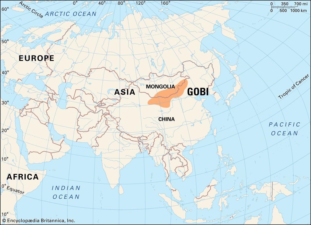 Gobi Desert | Map, Plants, Animals, & Facts | Britannica