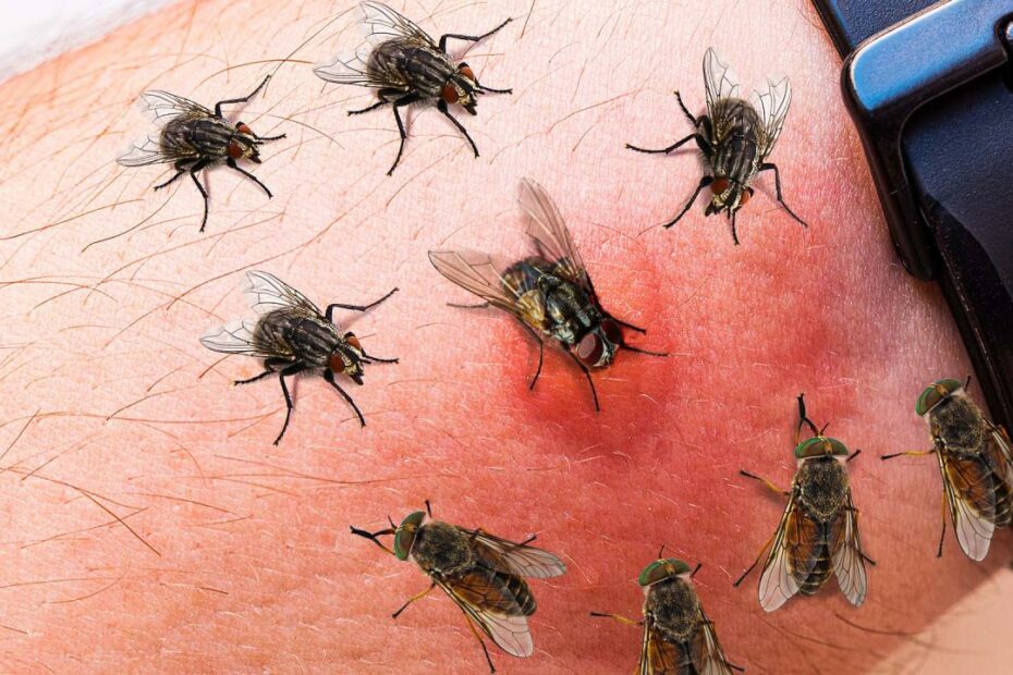 How To Survive A Botfly Infestation | What If Show