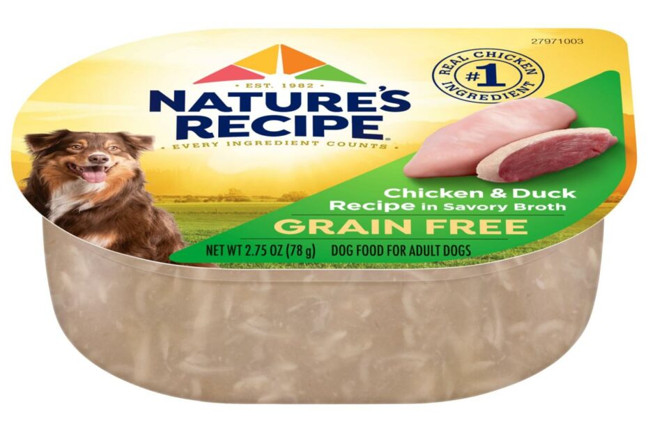 Nature'S Recipe Grain Free Easy To Digest Chicken & Duck Recipe In Broth Wet  Dog Food, 2.75-Ounce - Walmart.Com