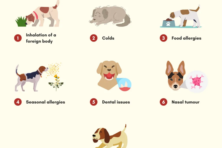 Why Does My Dog Keep Sneezing? [Common Causes + Faqs]