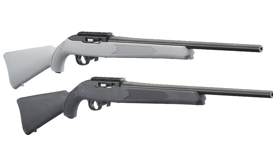 Review: The New, Less-Expensive Ruger 10/22 - The Shooter'S Log