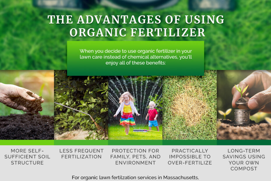 Professional Fertilizer Services - Grow Your Lawn Naturally | Swazy &  Alexander Landscaping