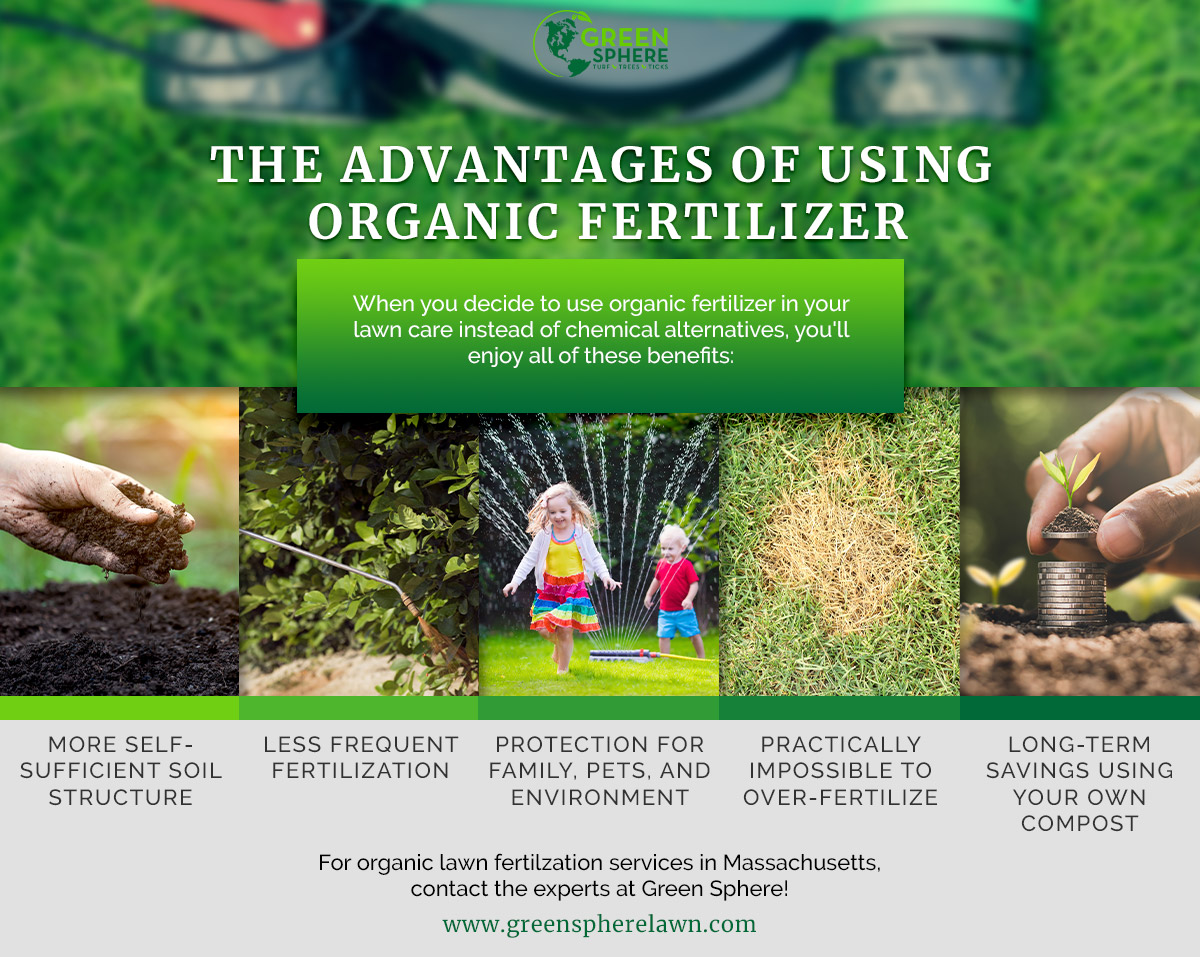 Professional Fertilizer Services - Grow Your Lawn Naturally | Swazy &  Alexander Landscaping