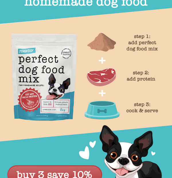 Can I Feed My Dog Chicken Everyday? - We Asked A Vet & Nutritionist –  Yumwoof Natural Pet Food