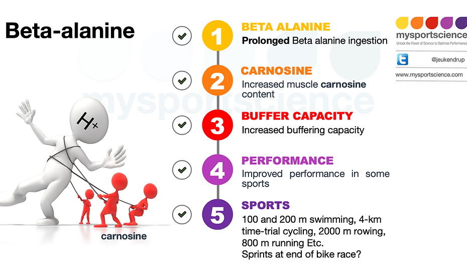 Beta Alanine Supplementation