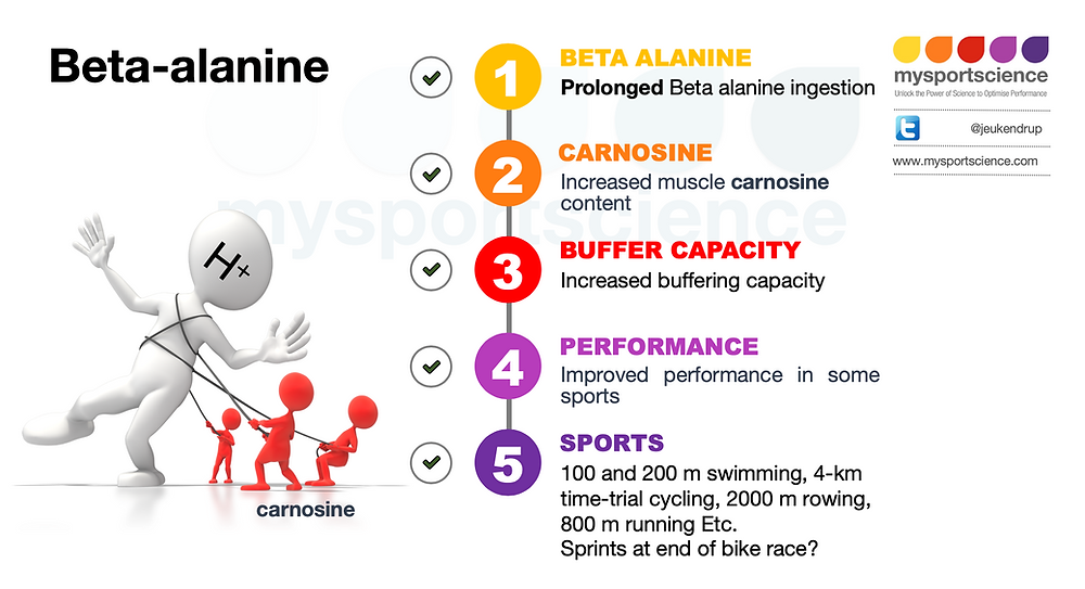 Beta Alanine Supplementation