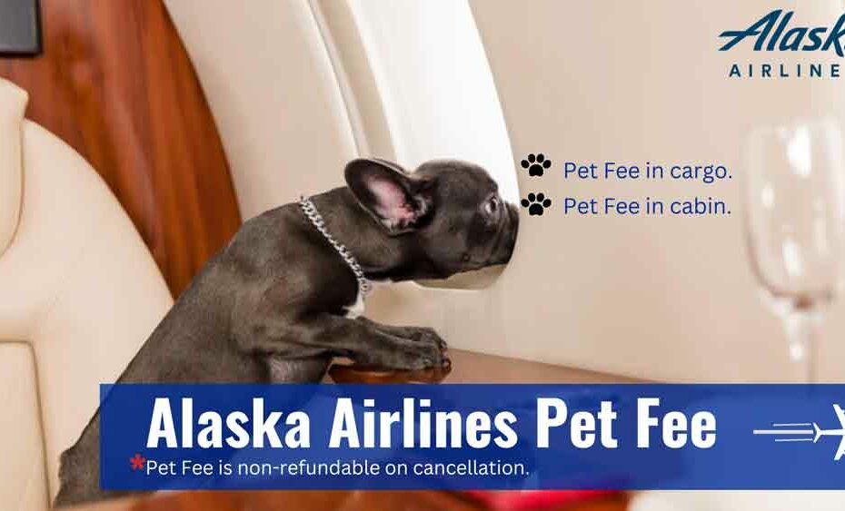 Alaska Airlines Pet Policy +1 888-565-0250