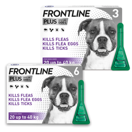 Frontline Plus® Flea & Tick Treatment For Puppies And Large Dogs 20-40Kg