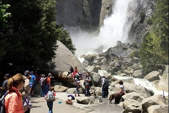 Yosemite Falls Yosemite National Park | 2023 Tickets & Tours