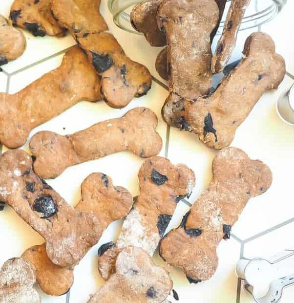 25 Best Homemade Dog Treats - Diy Dog Treat Recipes