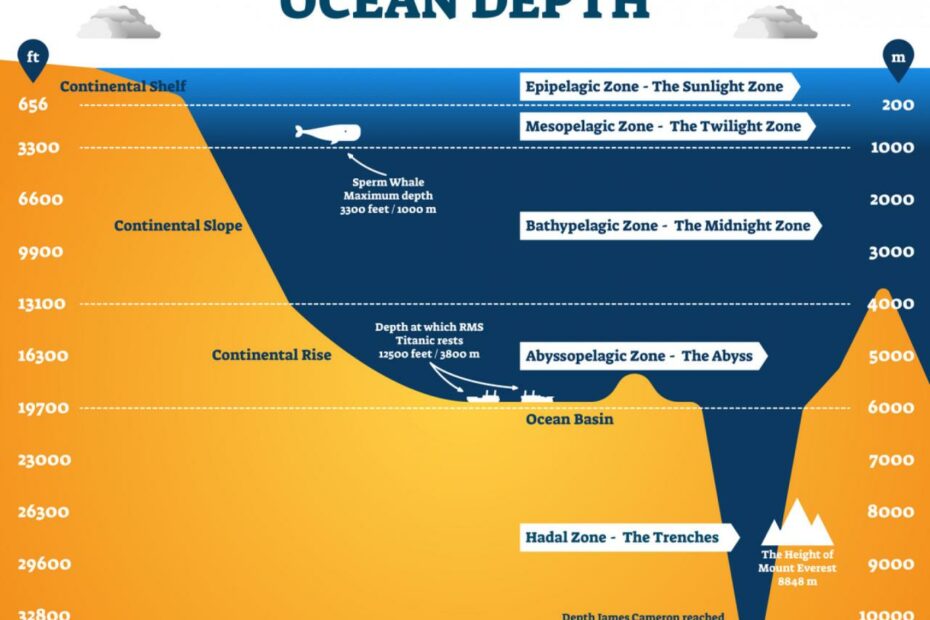 How Much Of The Ocean Has Been Explored? Surprisingly Little