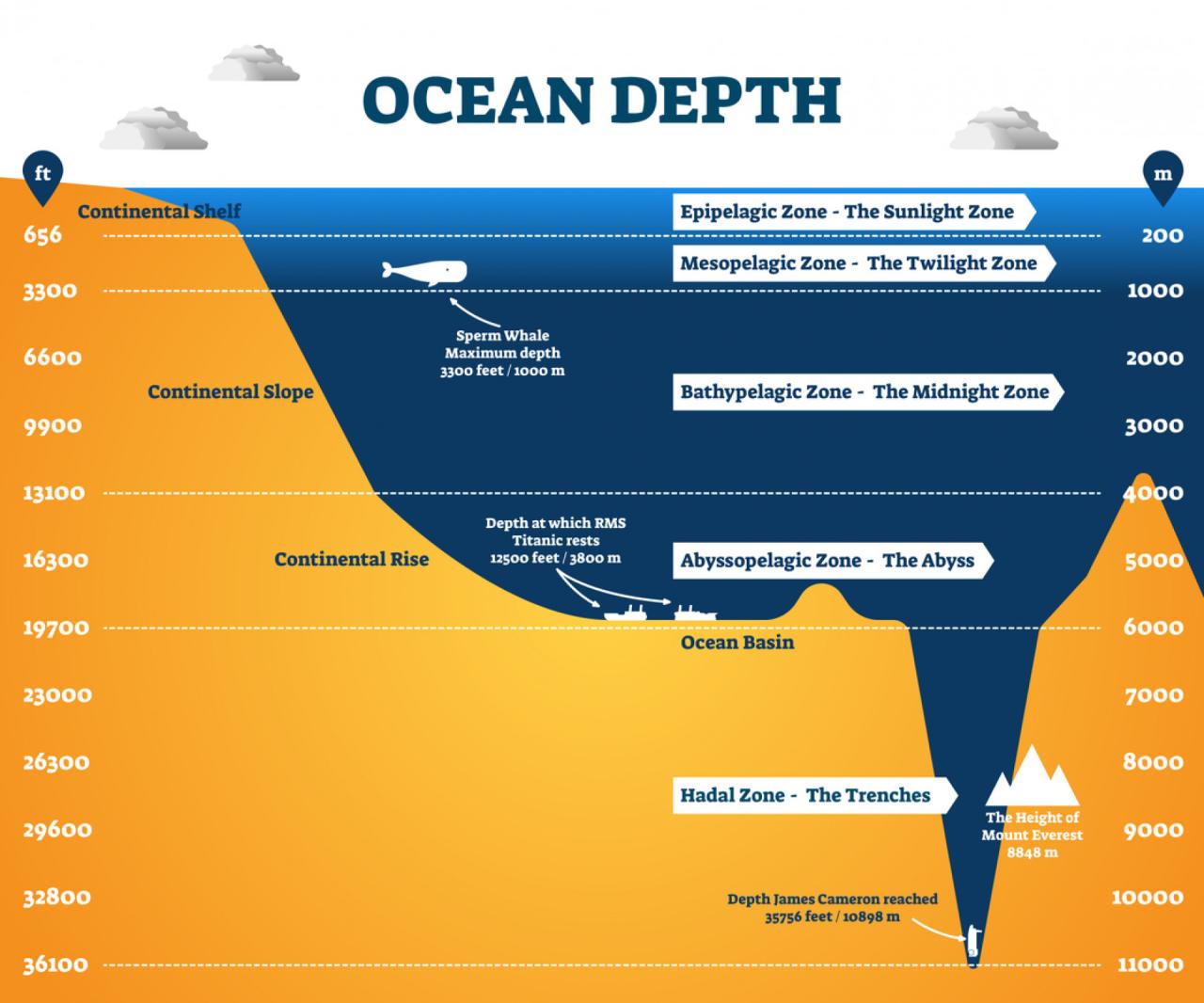 How Much Of The Ocean Has Been Explored? Surprisingly Little