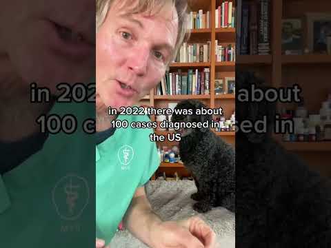 Dog Food causing Heart Disease? 2023 Update of DCM and Pet Food