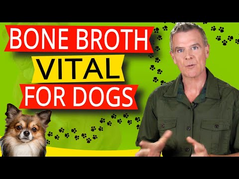 Bone Broth Benefits For Dogs (13 Amazing Health Benefits Dogs Love)