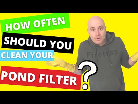 How Often Should You Clean Your Koi Pond Filter? - Youtube