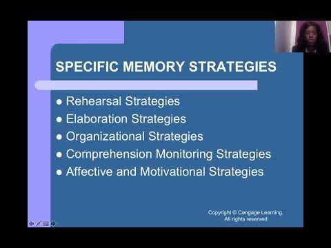 Memory Strategy From Orientation To College Learning - Youtube