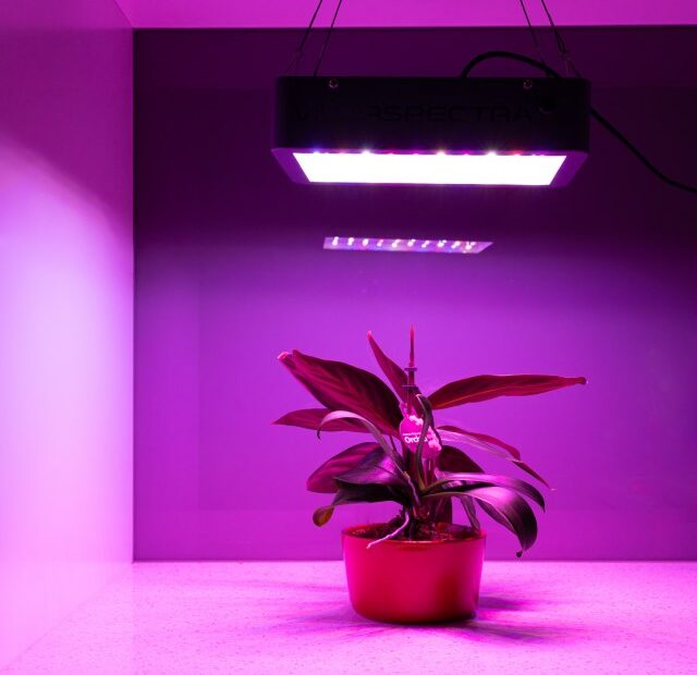 Product Review – Viparspectra Va600 Dimmable 600W Led Plant Grow Light –  Deep Green Permaculture