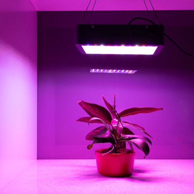 Product Review – Viparspectra Va600 Dimmable 600W Led Plant Grow Light –  Deep Green Permaculture