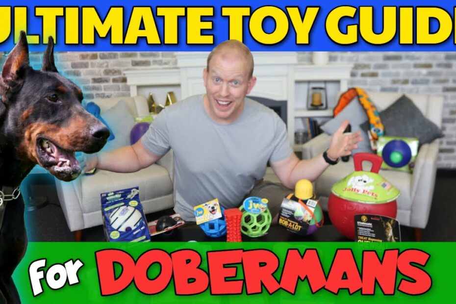 All Time Best Dog Toys For Dobermans: 20 Toys Tested! - Youtube